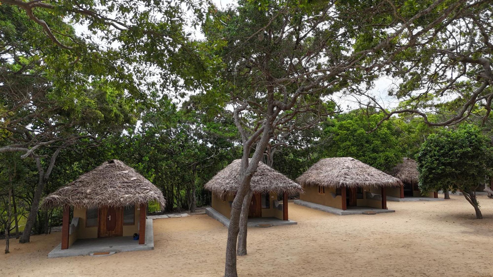 Peanut Farm Surf And Wild Resort - Arugambay Arugam Bay Exterior photo