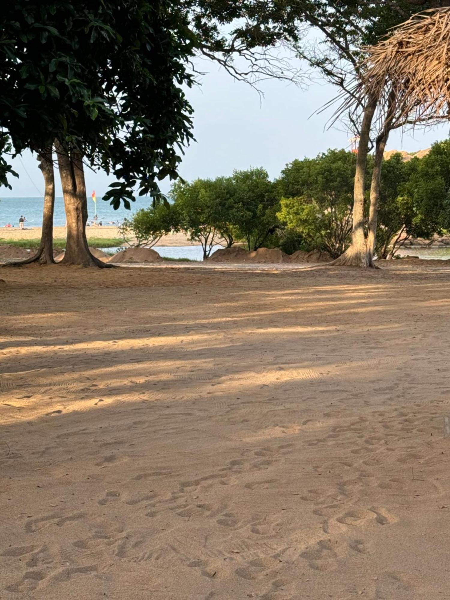 Peanut Farm Surf And Wild Resort - Arugambay Arugam Bay Exterior photo