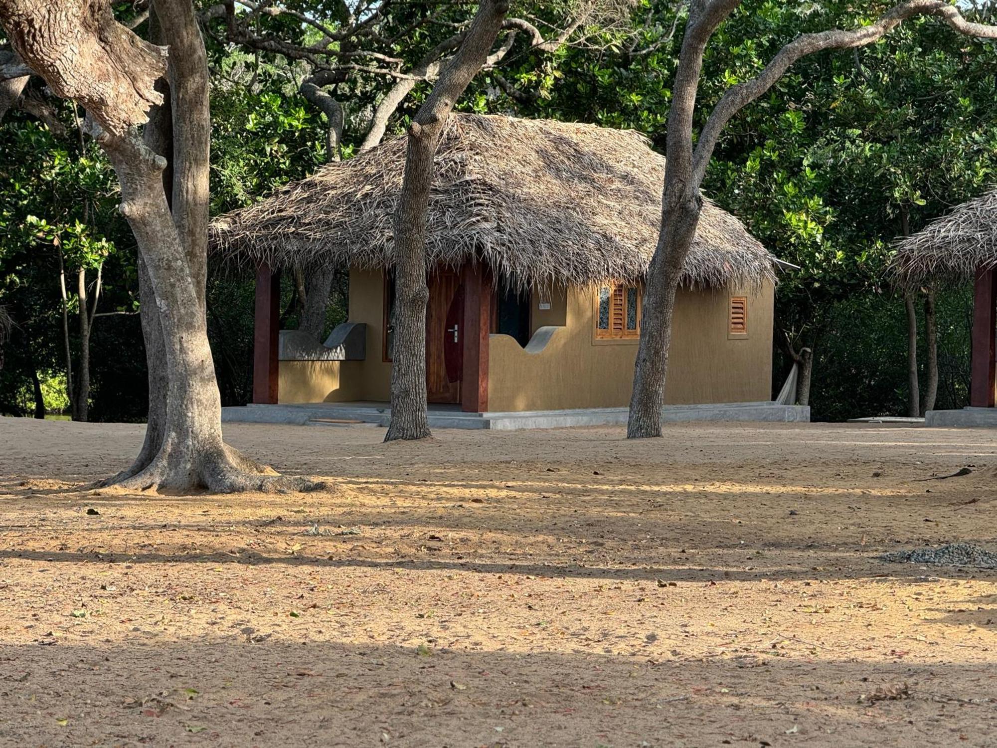 Peanut Farm Surf And Wild Resort - Arugambay Arugam Bay Exterior photo
