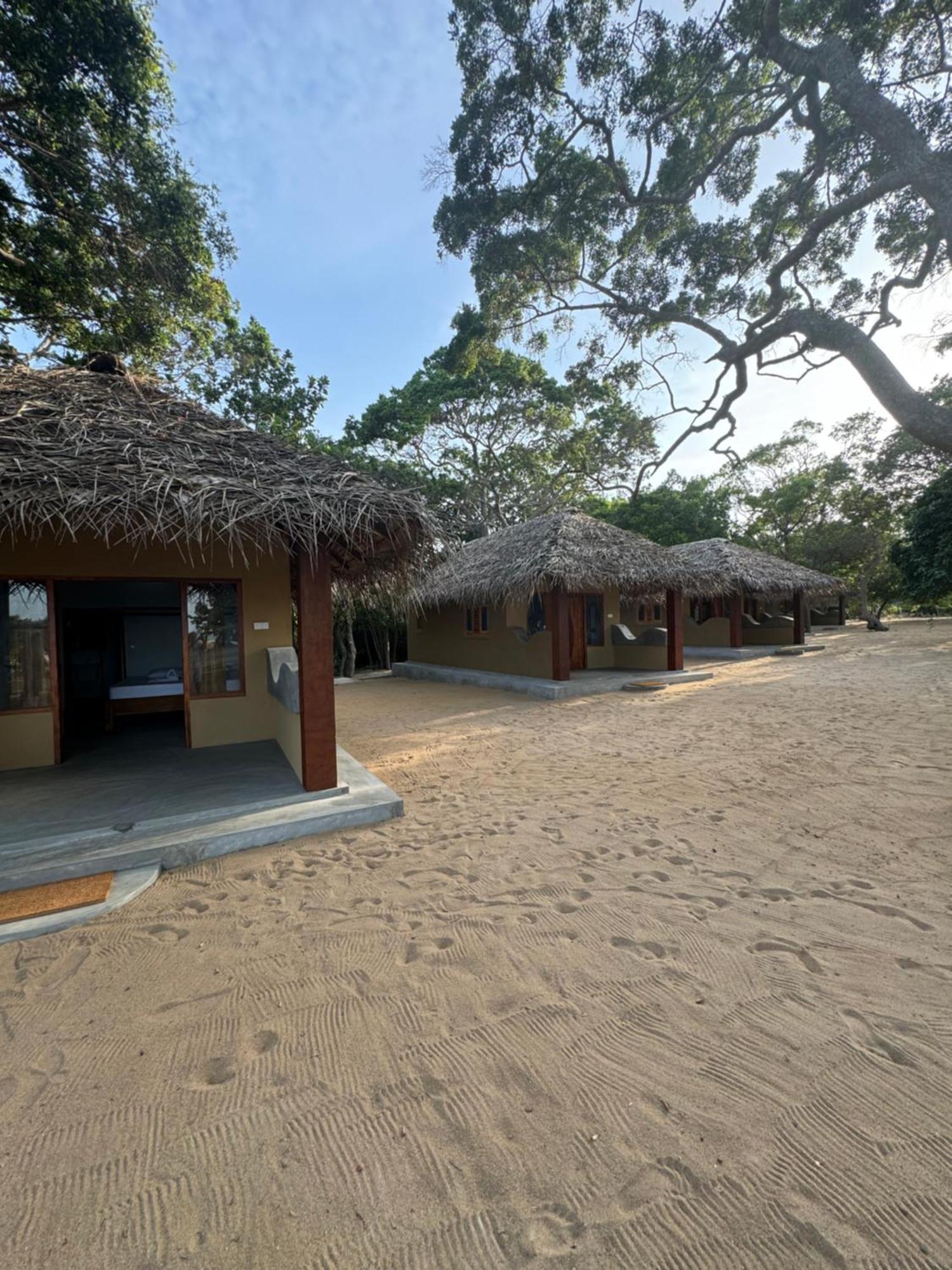 Peanut Farm Surf And Wild Resort - Arugambay Arugam Bay Exterior photo