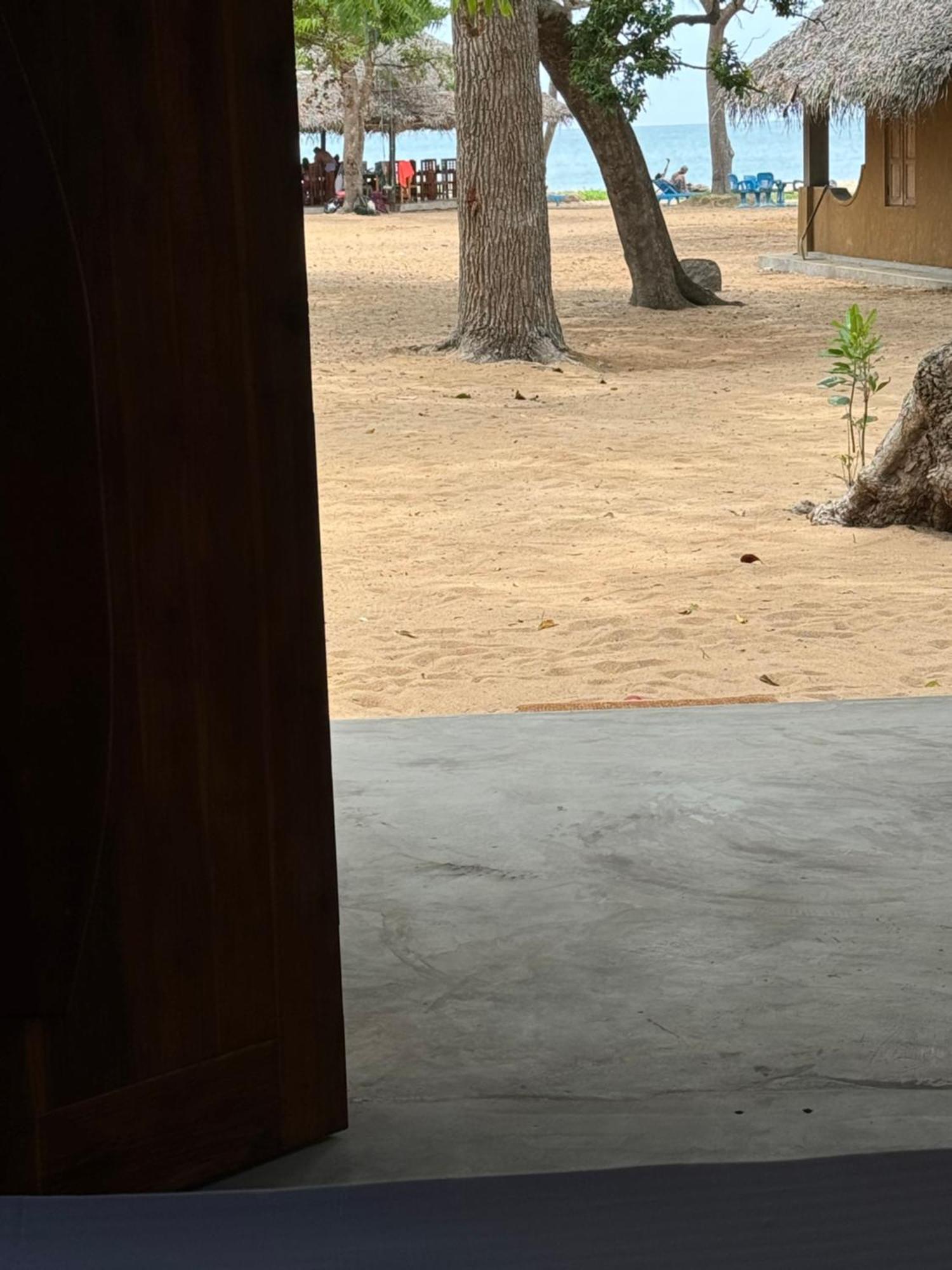Peanut Farm Surf And Wild Resort - Arugambay Arugam Bay Exterior photo